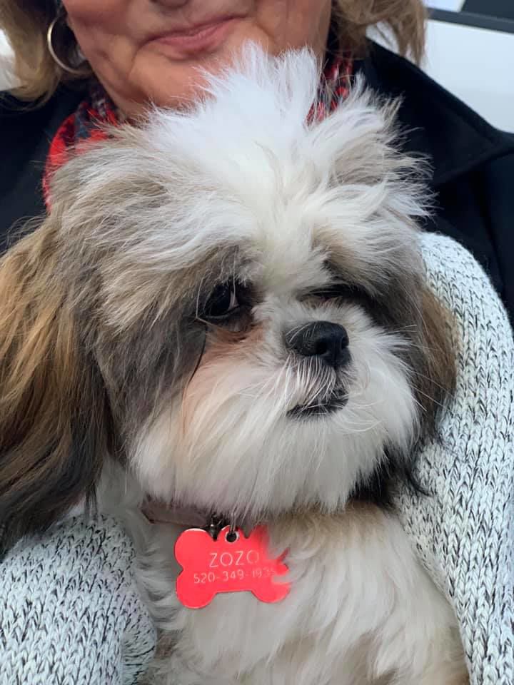 Readers pet photos